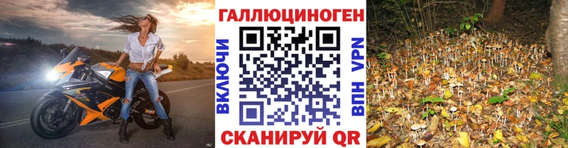 сколько стоит  Бахчисарай  Галлюциногенные грибы MAGIC MUSHROOMS 