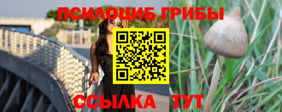 Галлюциногенные грибы ЛСД  Бахчисарай  Псилоцибиновые грибы прущие грибы 
