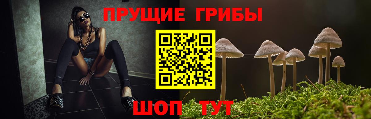 даркнет сайт  Псилоцибиновые грибы Psilocybe  Вход с VPN  Бахчисарай 
